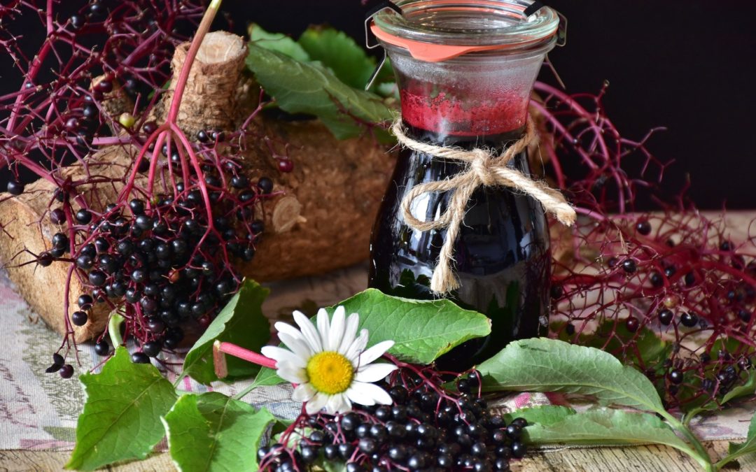Benefits of Elderberry